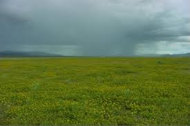 PAISAJE