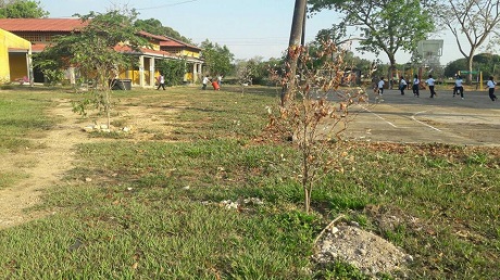 http://casanarenoticias.com/images/2018%20folder/ABRIL/COLEGIO%20SAN%20JOSE%20DEL%20BUBUY.jpg