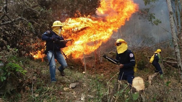 Alerta Roja en 13 municipios de Casanare por incendios forestales