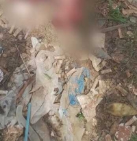 El macabro hallazgo que consternó a la sociedad de Orocué