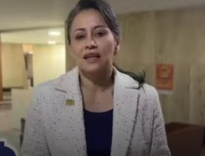 Senadora Sonia Bernal quiere aterrizar el valor de los tiquetes aéreos de la ruta Yopal - Bogotá