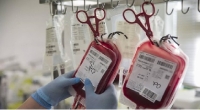 Revolución médica: Científicos japoneses desarrollan sangre artificial compatible con todos los grupos sanguíneos