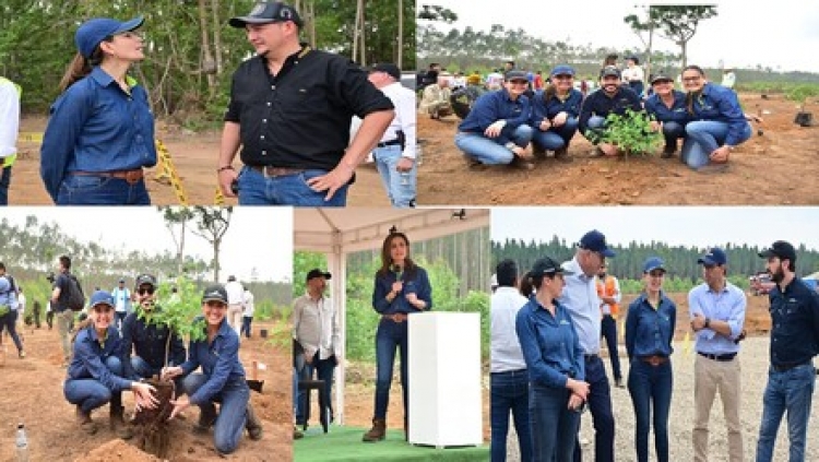 Villanueva contará con planta de generación de energía con biomasa