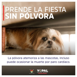 Llamado para no afectar con pólvora a los animales domésticos y silvestres en Yopal