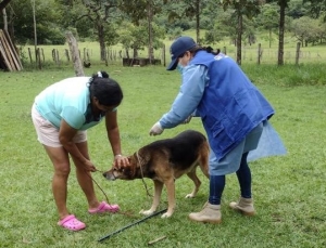 Vacunación contra la rabia en Casanare alcanzó ejecución del 58%