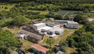 Planta de Beneficio Animal (PBA) de Tauramena podría ser entregada en concesión