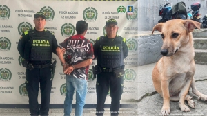 Hombre en Cáqueza fue detenido acusado de abusar sexualmente de una mascota