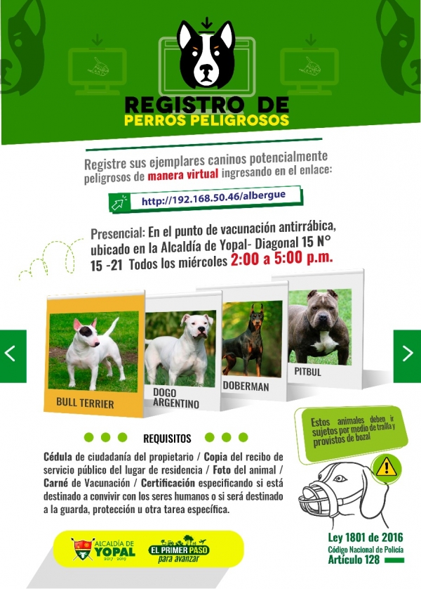 Caninos de razas potencialmente peligrosas deben ser registrados en Yopal