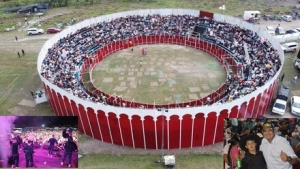 Festival del Pavo, las festividades más económicas y las mejores en la historia de Chameza