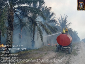 Incendio forestal en Tauramena afecta 75 hectáreas de cultivo de palma