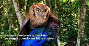 Más de 13 mil animales han sido rescatados por las CAR