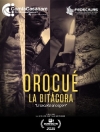 Casanare participa en festival Conexcine 2025 con cortometraje inspirado en Orocué