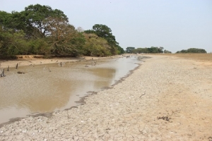 Se adoptan medidas frente a fenómeno de El Niño
