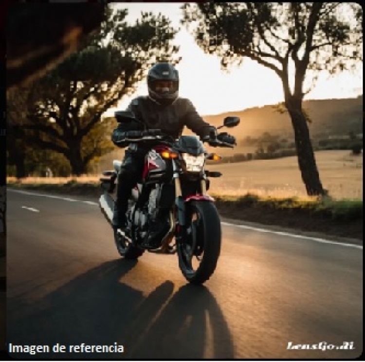 El hurto de una motocicleta lo llevó rápidamente a la cárcel
