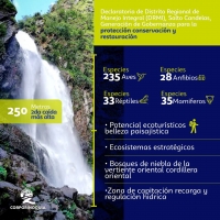 La Orinoquia ahora cuenta con 4.460 hectáreas protegidas