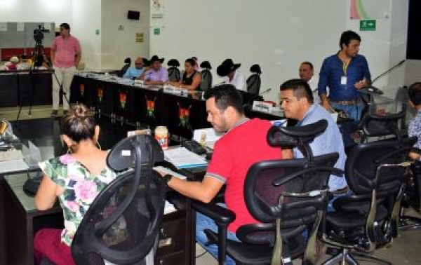 Aprobada en primer debate la liquidación y supresión de Ceiba en Yopal