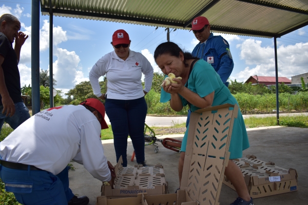 Cruz Roja Colombiana Seccional Casanare empodera a familias víctimas del conflicto armado