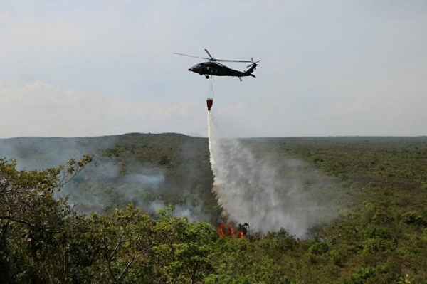 Controlado incendio forestal en La Macarena