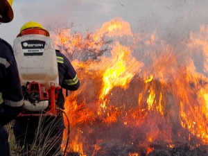 La sequía en Casanare arrasó con cerca de 100 mil hectáreas