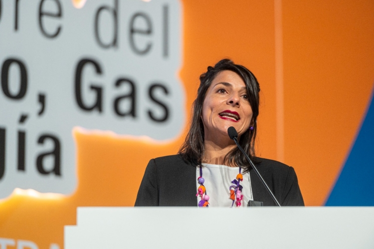 En revisión contratos petroleros existentes en el país. Algunos suspendidos serán reactivados, dijo MinMinas Irene Vélez en cumbre de ACP
