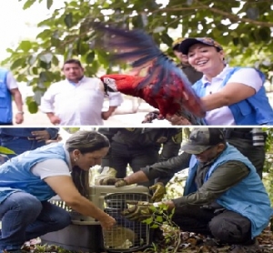 Corporinoquia anunció la creación del refugio de vida Silvestre Uary