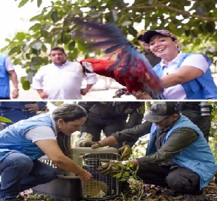 Corporinoquia anunció la creación del refugio de vida Silvestre Uary