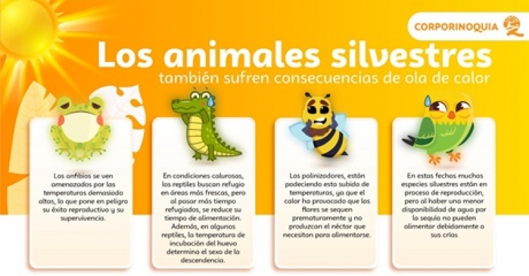 Fauna Silvestre, la más impactada por los efectos del calor