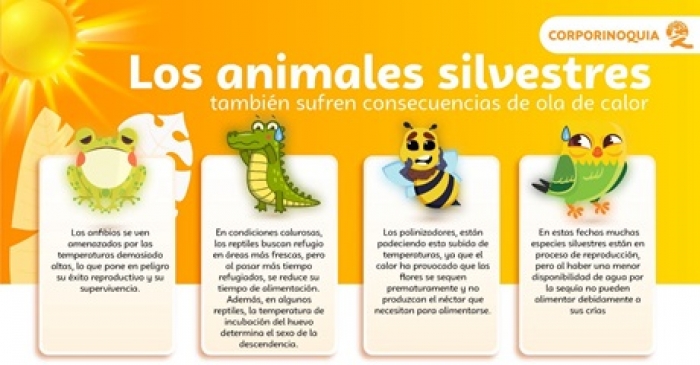Fauna Silvestre, la más impactada por los efectos del calor