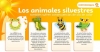Fauna Silvestre, la más impactada por los efectos del calor