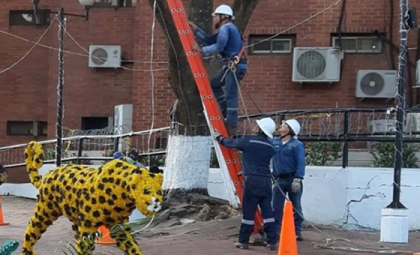Por una navidad segura ENERCA, invita hacer uso eficiente de la Energía