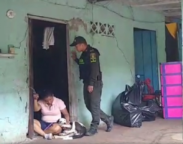 La trepidante acción del Estado que aplastó las ilusiones de la familia Guayabo