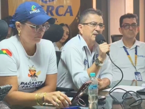 Los saldos en rojo que reportó Enerca