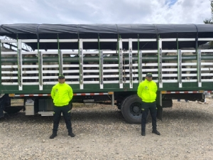 Recuperan 21 semovientes hurtados en la zona rural de Pore