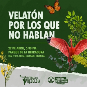 ‘Velatón’ por la salud del planeta
