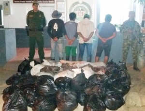 Incautaron 1.500 kilos de carne de chigüiro