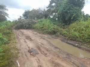 Hallan cuerpo sin vida con heridas de machete en Paz de Ariporo