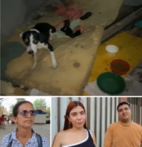 Defensores de los animales denunciaron abandono de mascotas en medio del desalojo de Torres del Silencio