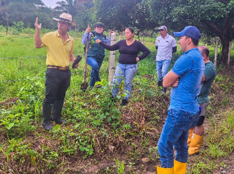 En la vereda La Alemania de Yopal se adelantó jornada de ornato y siembra de árboles