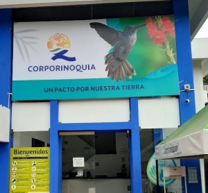 Autorizan expedición de convocatoria para nueva elección del director general de Corporinoquia