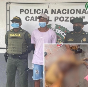Judicializada pareja que habría causado la muerte de un perro en el sur de Bogotá