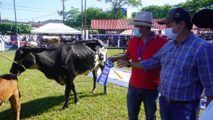 “Más de 5.000 millones de pesos en movimientos económicos, resultado de la Feria Ganadera Doble Propósito”: Alcaldía de Yopal.