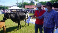 “Más de 5.000 millones de pesos en movimientos económicos, resultado de la Feria Ganadera Doble Propósito”: Alcaldía de Yopal.