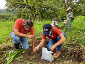 Siembran árboles frutales que servirán de alimentos a la fauna silvestre en el parque La Iguana en Yopal