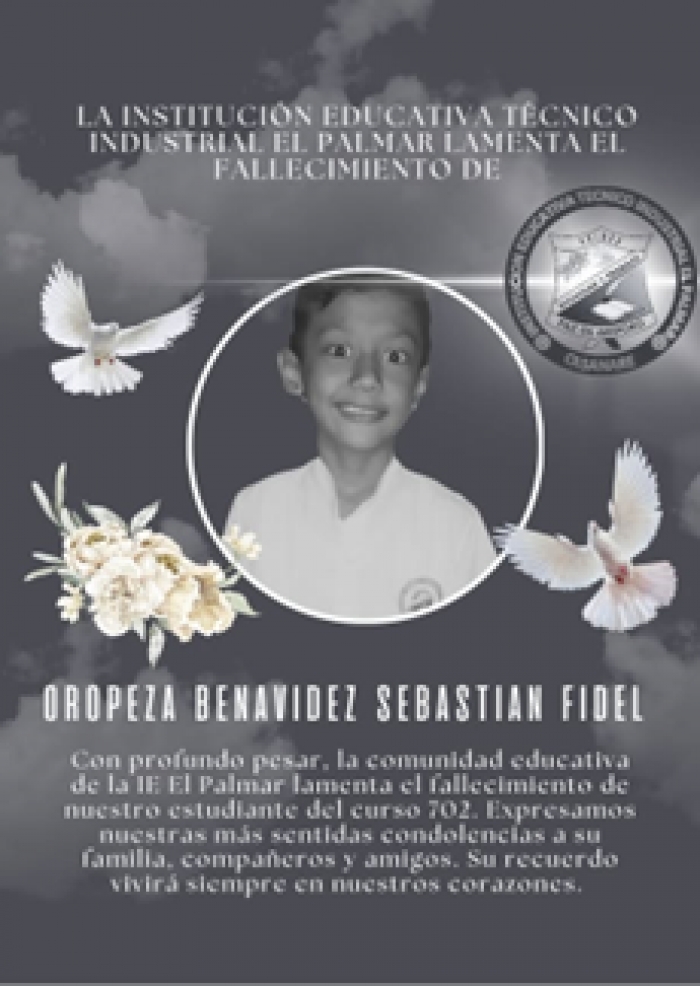 Niño de 12 años muere luego de caer de un árbol: La tragedia ocurrió en zona rural de Paz de Ariporo