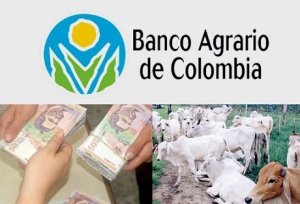 Banco Agrario instauró nuevas denuncias por fraude bancario. En oficina de Pore se identificó un fraude por $75 millones