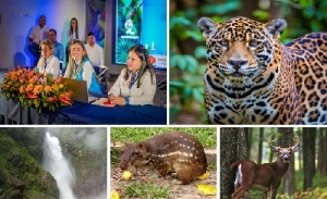 Corporinoquia entregó su lista de logros ambientales durante 2023