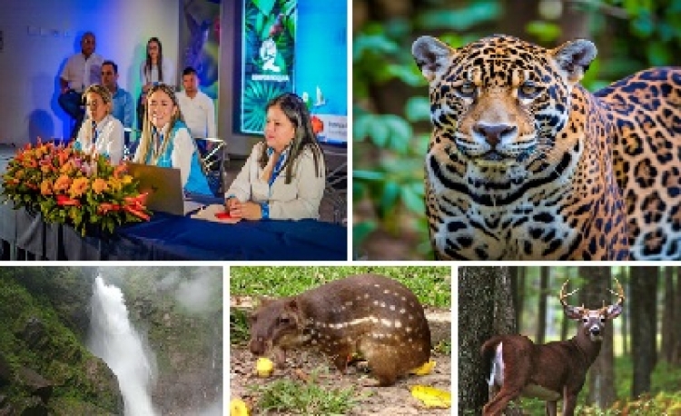 Corporinoquia entregó su lista de logros ambientales durante 2023