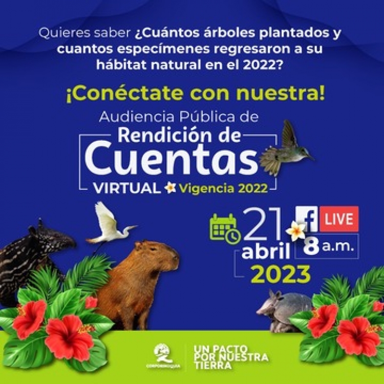 Hoy Corporinoquia hará rendición de cuentas de manera virtual