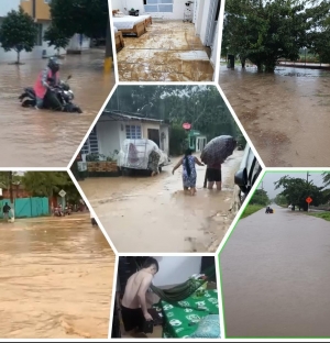 El torrencial aguacero en Aguazul se llevó a su paso electrodomésticos, enseres y animales