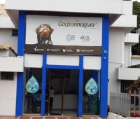 Juez levantó la suspensión de la sesión del consejo directivo de Corporinoquia
